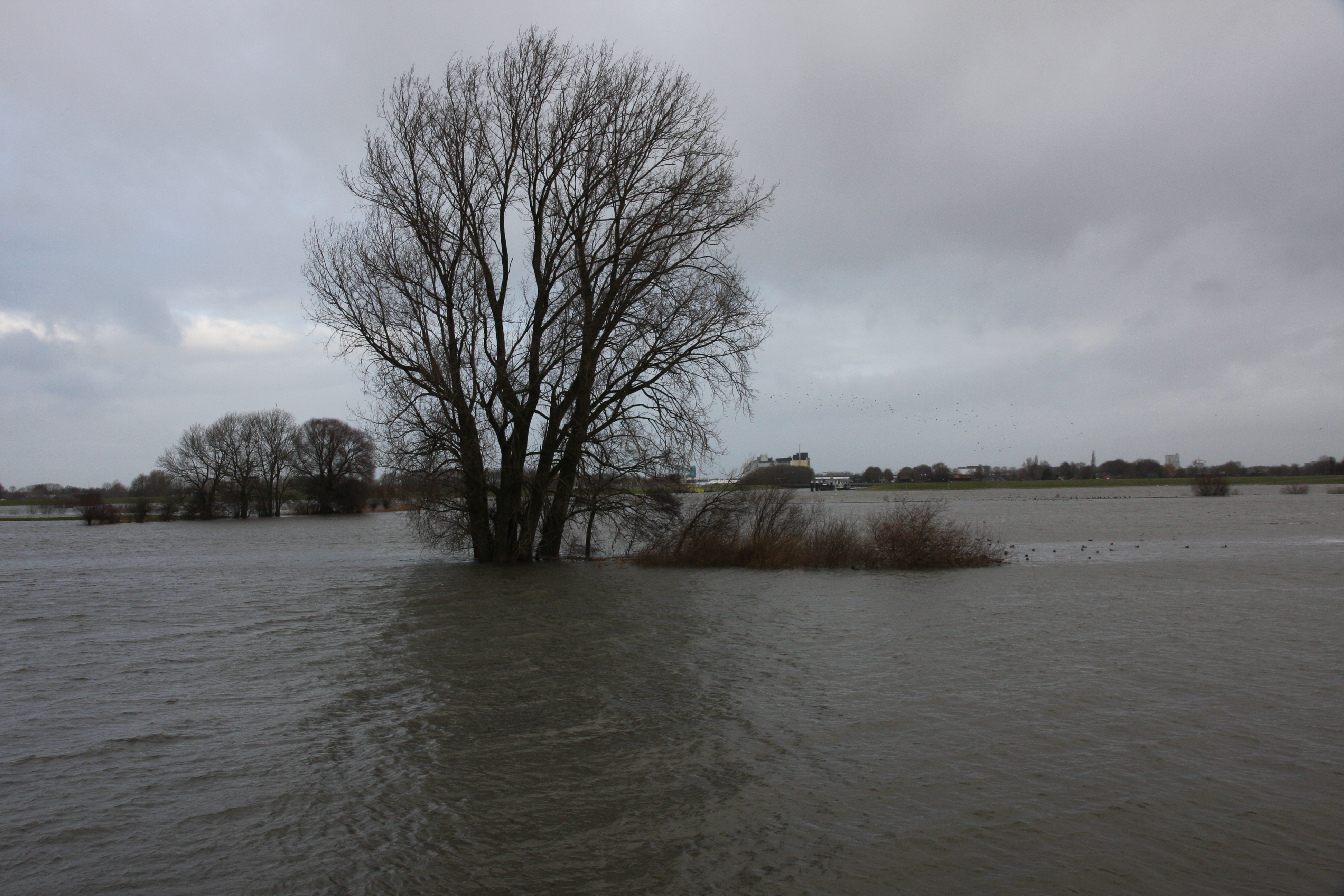 Foto 17 Als het water hoog is, kun je niet vanaf de kribben vissen